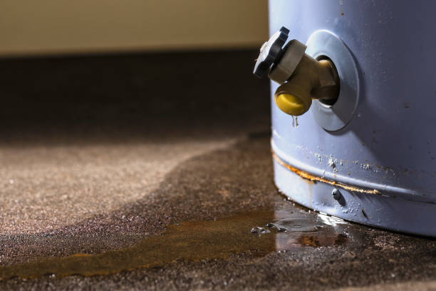 Best Ceiling water damage repair  in Carnation, WA