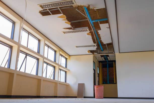 Best Mold removal after water damage  in Carnation, WA