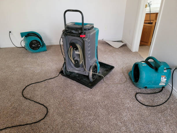 Best Basement water damage restoration  in Carnation, WA