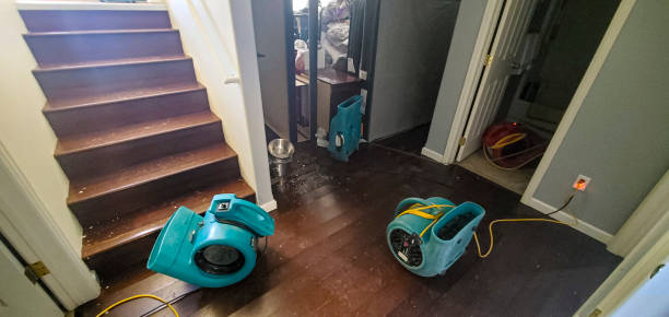 Best Emergency water damage restoration  in Carnation, WA
