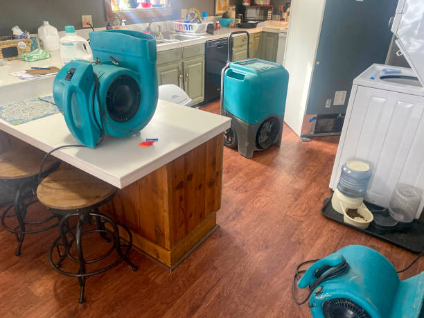 Best Water damage contractors near me  in Carnation, WA