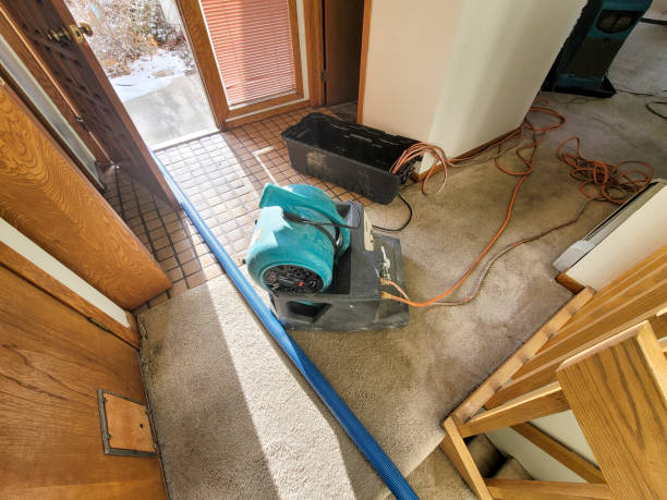 Best Flood damage cleanup  in Carnation, WA