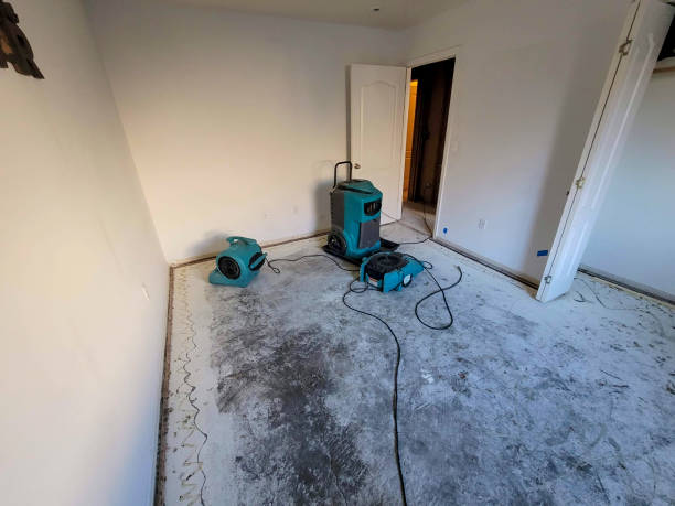 Best Carpet water damage restoration  in Carnation, WA