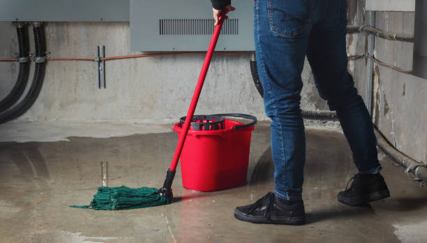 Best Water damage restoration near me  in Carnation, WA
