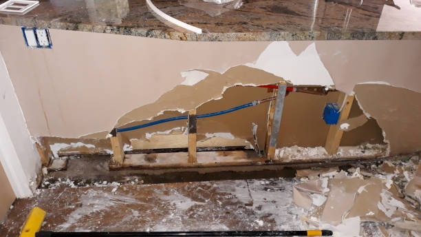  Carnation, WA Water damage restoration Pros