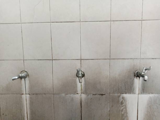Best Local water damage restoration  in Carnation, WA