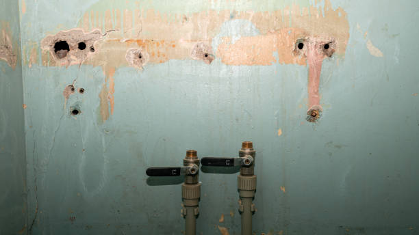Best Water damage restoration near me  in Carnation, WA
