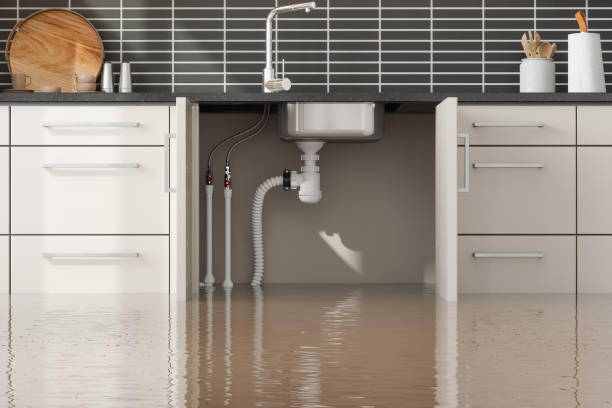 Best Sewage cleanup and water damage restoration  in Carnation, WA