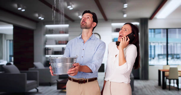 Best Flooded house restoration  in Carnation, WA