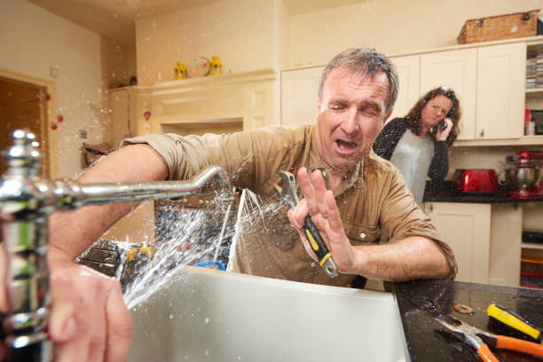 Best Fire Damage Restoration  in Carnation, WA